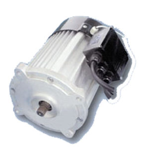 Motore a velocità bassa - WTGSDJ1 - Jiang Su Weiteli Motor Co.,Ltd - sincrono / a magneti permanenti / per veicolo elettrico