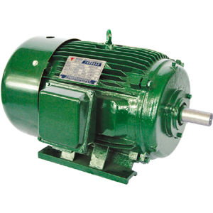 Motore NEMA - Jiang Su Weiteli Motor Co.,Ltd - asincrono / controllato tramite variatore di frequenza