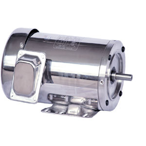 Motore asincrono - Jiang Su Weiteli Motor Co.,Ltd - trifase / a gabbia di scoiattolo / in acciaio inossidabile