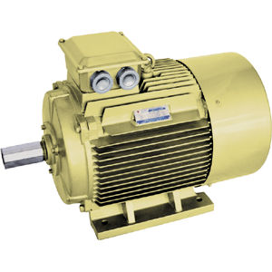 Motore ad alto rendimento - YE series - Jiang Su Weiteli Motor Co.,Ltd - sincrono / 380 V / IP54