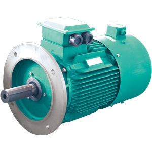 Motore controllato tramite variatore di frequenza - YVF2 series - Jiang Su Weiteli Motor Co.,Ltd - ad induzione / trifase / IP54