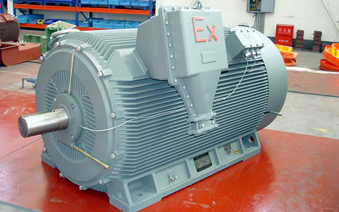 Motore sincrono - Harbin Electric Corporation Jiamusi Electric Machine CO.,Ltd - AC / antideflagrante