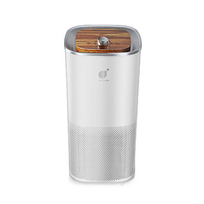 Purificatore d'aria mobile - AC06 - Shenzhen Longood Intelligent Electric Co.,LTD - con filtro / per edificio residenziale