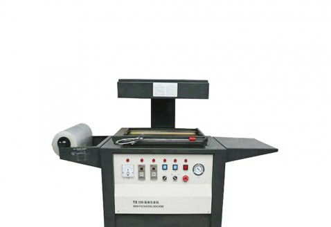 Macchina per imballaggio automatica - DZT-540 - Qingdao Ausense Packing Equipment Co., Ltd. - sottovuoto