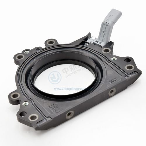 Guarnizione a labbro - ANHUI ZHONGDING SEALING PARTS CO.,LTD - in plastica / PTFE / circolare