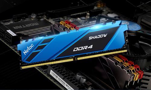 Modulo di memoria DDR4 SDRAM - Shadow - Netac Technology Co.,Ltd.