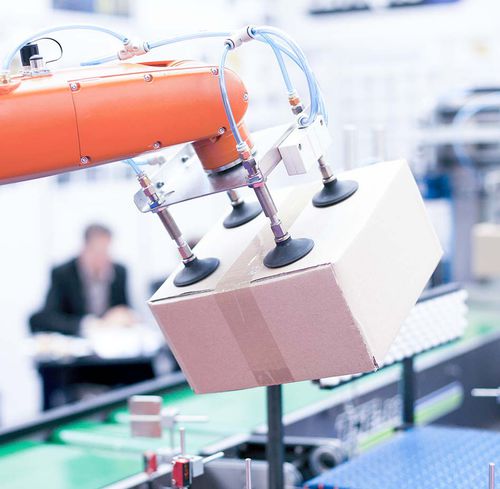 Sistema di visione per automazione logistica - Mech-Mind Robotics - di monitoraggio / per cernita / di carico