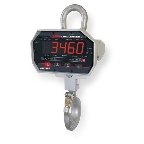 Pesatrice elettronica - Challenger 3 - Rice Lake Weighing Systems - per gru / IP65 / wireless