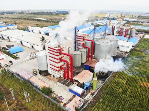 Essiccatoio per sementi di mais - SNHT series - Henan SRON SILO ENGINEERING Co., Ltd - per risone / per grano / per leguminose