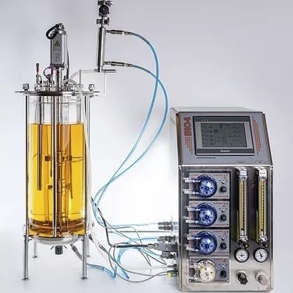 Bioreattore da laboratorio - EDF-15.1 - Biotehniskais centrs - in vetro / autoclavabile