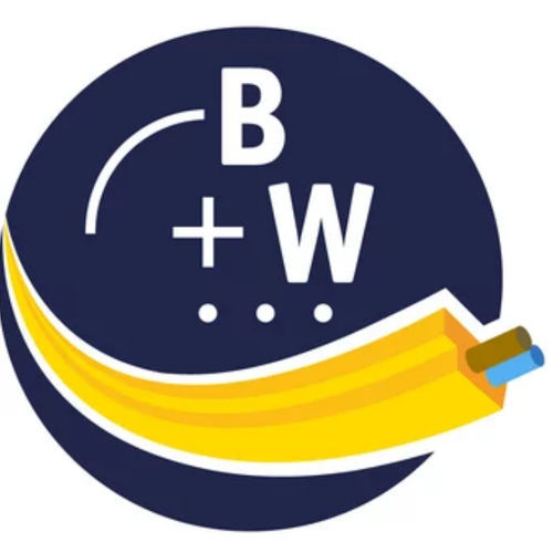 Software di misura - BW2916 - Bihl+Wiedemann GmbH - di regolazione / configurazione / di creazione
