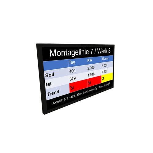 Monitor TFT - migra  - microSYST Systemelectronic - LCD / multiuso / 55"