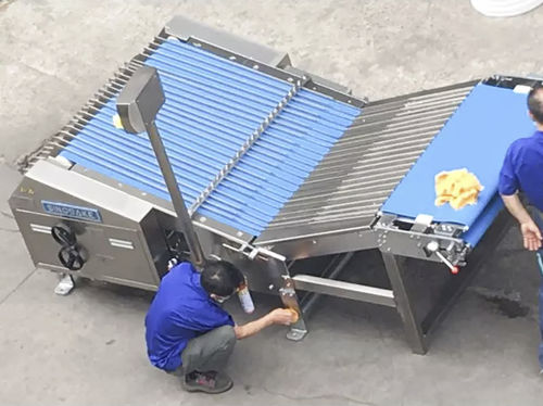 Macchina di smistamento per biscotti - LB1000 - Guangdong Shunde Huaji Machinery Industrial Co., Ltd. - per l'industria agroalimentare / automatica / a nastro