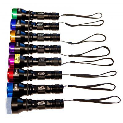 Torcia LED - Nova - LABINO - UV / da lavoro / compatta