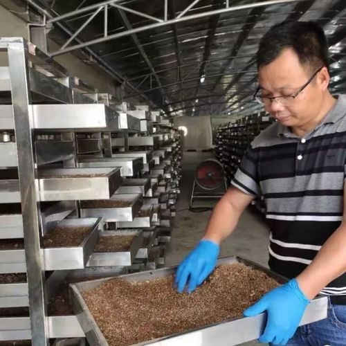 Stazione di trattamento dei rifiuti domestica - Wenzhou Jinbang Light Ind Machinery Co., Ltd - per alimenti / urbani / industriali