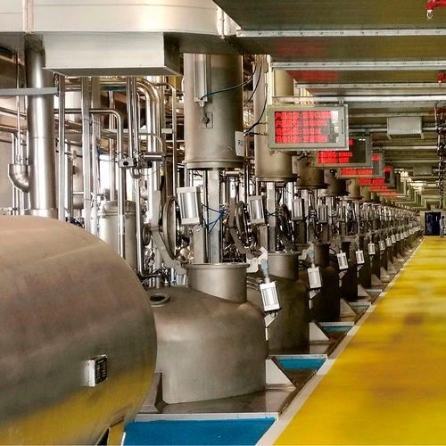 Linea di produzione di antociani - Wenzhou Jinbang Light Ind Machinery Co., Ltd - automatica / per l'industria agroalimentare