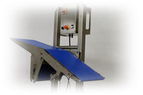 Trasportatore a rulli - Fine-Spect - a inclinazione regolabile / di trasferimento / mobile