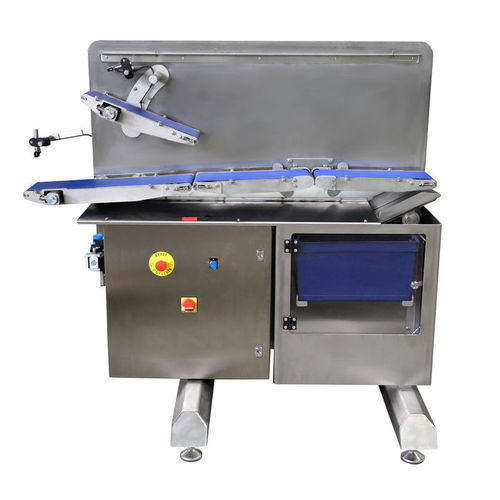 Trasportatore a nastro - Fine-Spect - a rulli / orizzontale / di trasferimento