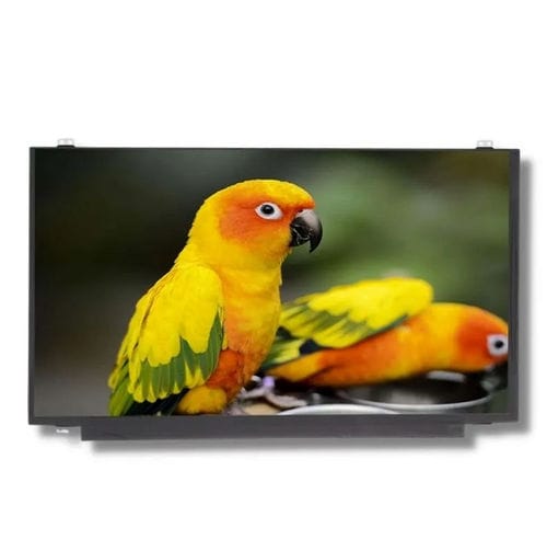 Modulo di visualizzazione 15,6" - TTX156XHT-01 - TAILOR PIXELS TECHNOLOGY CO., LTD. - TFT LCD / IPS / 1920 x 1080