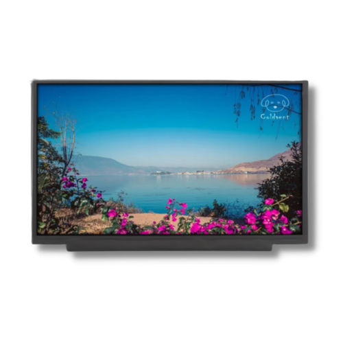 Modulo di visualizzazione TFT LCD - TTX116BHT-01 - TAILOR PIXELS TECHNOLOGY CO., LTD. - IPS / 1920 x 1080 / 11.6"