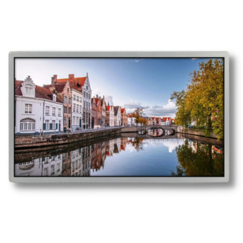 Modulo di visualizzazione TFT LCD -  TTX185BHT-01 - TAILOR PIXELS TECHNOLOGY CO., LTD. - IPS / 1920 x 1080 / 18,5"