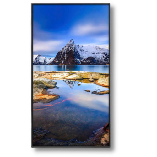 Modulo di visualizzazione TFT LCD - TTX215BVT-01 - TAILOR PIXELS TECHNOLOGY CO., LTD. - IPS / 1080 x 1920 / 21,5"