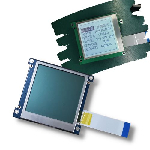 Display 160 x 160 - TWW160160B2-A0 - TAILOR PIXELS TECHNOLOGY CO., LTD. - FSTN / grafico / transflettivo