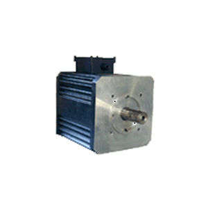 Servomotore brushless - BRL 220 series - ACM engineering - AC / trifase / 220 V