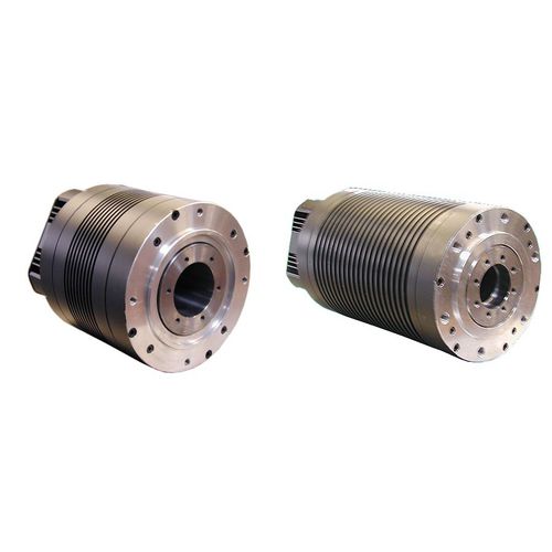 Motore coppia AC - BRL series - ACM engineering - trifase / a 3 fasi / ad albero cavo