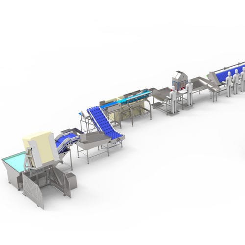 Linea di trasformazione per trote - Arde Makine San. ve Tic. Ltd. Şti. - per salmoni / per aringhe / per scombri