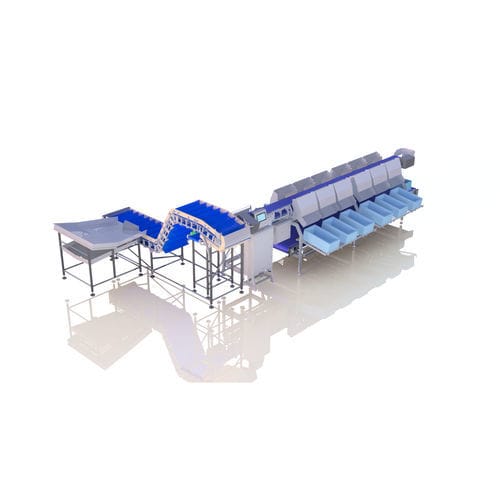 Calibratrice per pesce - PRSG-SG - Arde Makine San. ve Tic. Ltd. Şti. - a nastro / con trasportatore / per cernita
