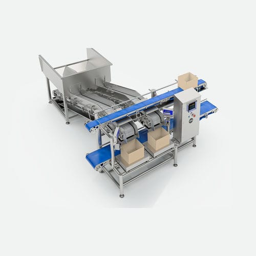 Linea di imballaggio per l'industria agroalimentare - TEMIC S.L.U. - di posizionamento / per prodotti alimentari / automatica