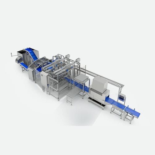Linea di ispezione per carne magra - TEMIC S.L.U.