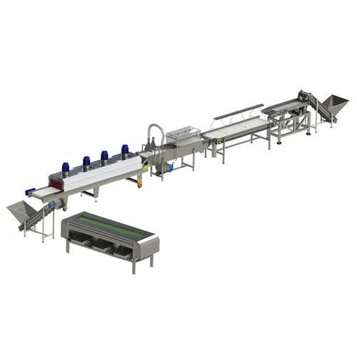 Linea di trasformazione per datteri - Zibo Unique Machinery Co., Ltd. - di lavaggio / di calibratura