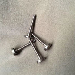 Bullone resistente alla corrosione - Shaanxi CXMET Technology Co., Ltd.