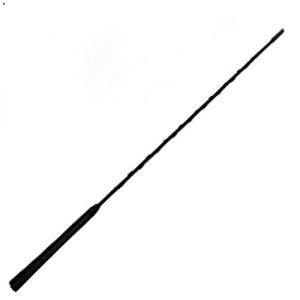 Antenna FM - Amphenol - AM / per veicolo