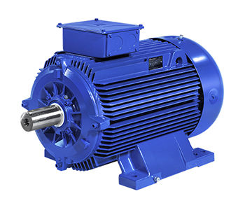 Motore asincrono - A5M - B5M series - Marelli Motori S.p.A. - AC / 100 V / in ghisa