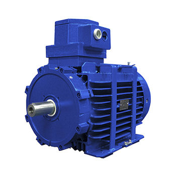 Motore asincrono - D5Y - D6Y - D5V series - Marelli Motori S.p.A. - AC / 690 V / resistente alle fiamme