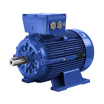 Motore asincrono - D5U series - Marelli Motori S.p.A. - AC / 690 V / in ghisa