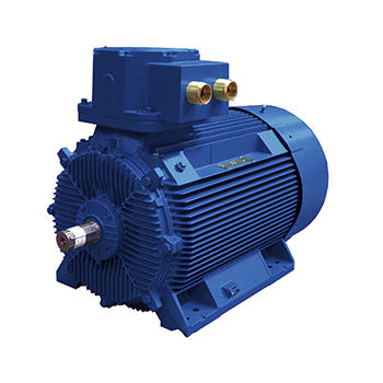 Motore asincrono - B5L series - Marelli Motori S.p.A. - AC / 100 V / in ghisa