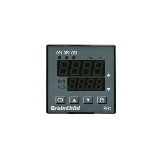 Controllore di temperatura analogico - P91 - BRAINCHILD ELECTRONIC CO., LTD - PID / ramp/soak programmabile / configurabile