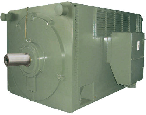 Motore asincrono - HV series - FIMET Motori & Riduttori S.p.a. - AC / 6000 V / con isolamento elettrico