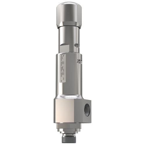 Valvola di sicurezza a gas - 438 - LESER GmbH & Co. KG - NPT / DIN / per l'industria chimica