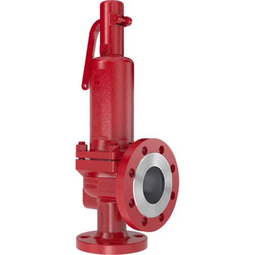Valvola di sicurezza a vapore - 424 - LESER GmbH & Co. KG - DIN / in ghisa / standard