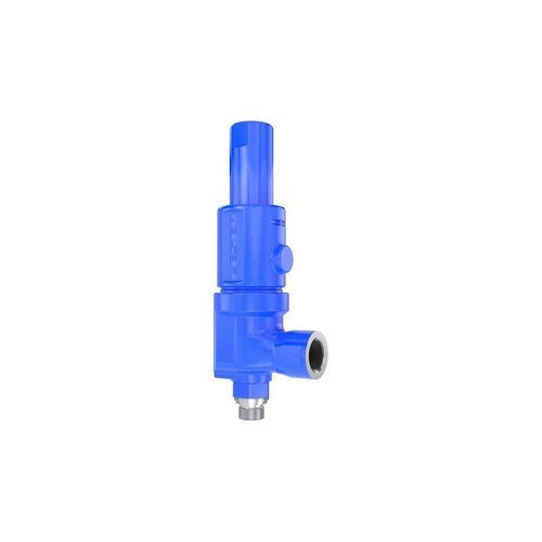 Valvola di sicurezza per gas - 462 HDD - LESER GmbH & Co. KG - NPT / per compressore / in acciaio inossidabile