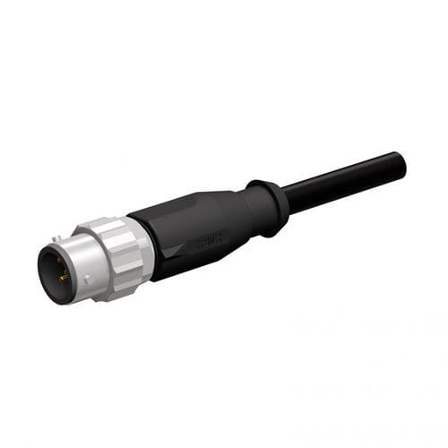 Connettore M12 codifica A - CONEC Elektronische Bauelemente GmbH - di dati / modellato su pezzo modello / rotondo