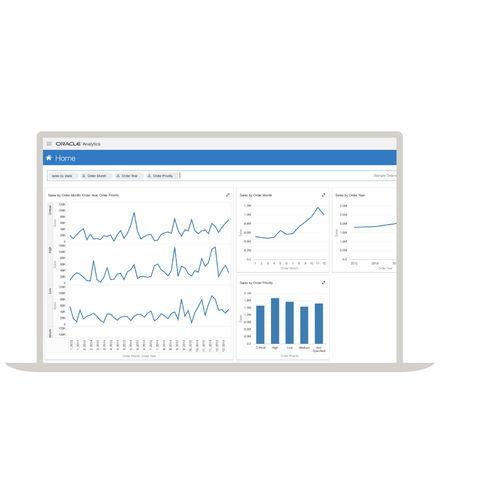 Software di analisi - Analytics - Oracle - di interfaccia / di visualizzazione / per reportistica