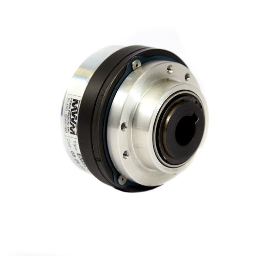 Frizione a disco - EMSL/DF-R - MWM FRENI-FRIZIONI - elettromagnetica