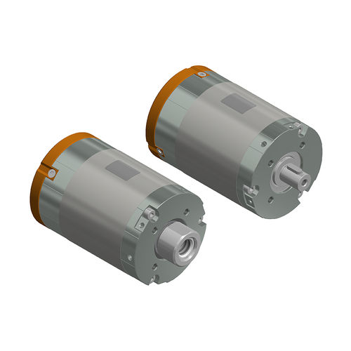 Motore BLCD - t-Rex 3206 I-65-86-L36 S2 - Ketterer - DC / 24 V / 48 V