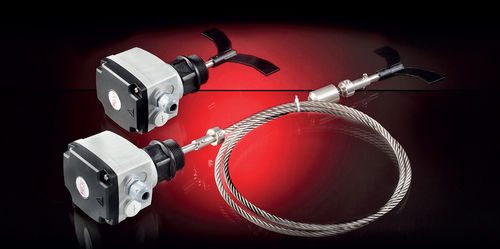 Livellostato a paletta rotante - RL-A series - AECO - per prodotti sfusi / ATEX / IP66